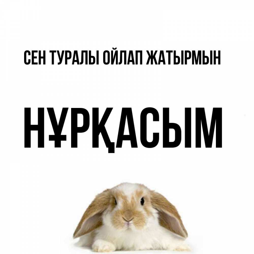 Күн сайын ашық хат с именем, НҰРҚАСЫМ Сен туралы ойлап жатырмын подписать своими руками онлайн Онлайн тегін жүктеп алу тілектері бар керемет карта 