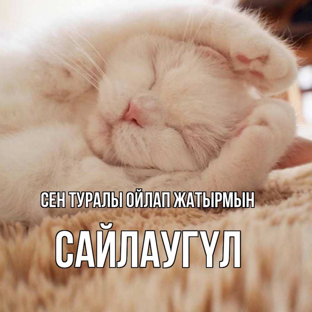 Күн сайын ашық хат с именем, САЙЛАУГҮЛ Сен туралы ойлап жатырмын для любимой девушки милота Онлайн тегін жүктеп алу тілектері бар керемет карта 