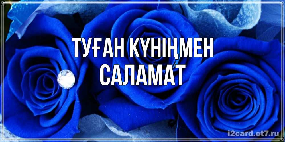 Күн сайын ашық хат с именем, САЛАМАТ Туған күніңмен синие розы в росе Онлайн тегін жүктеп алу тілектері бар керемет карта 