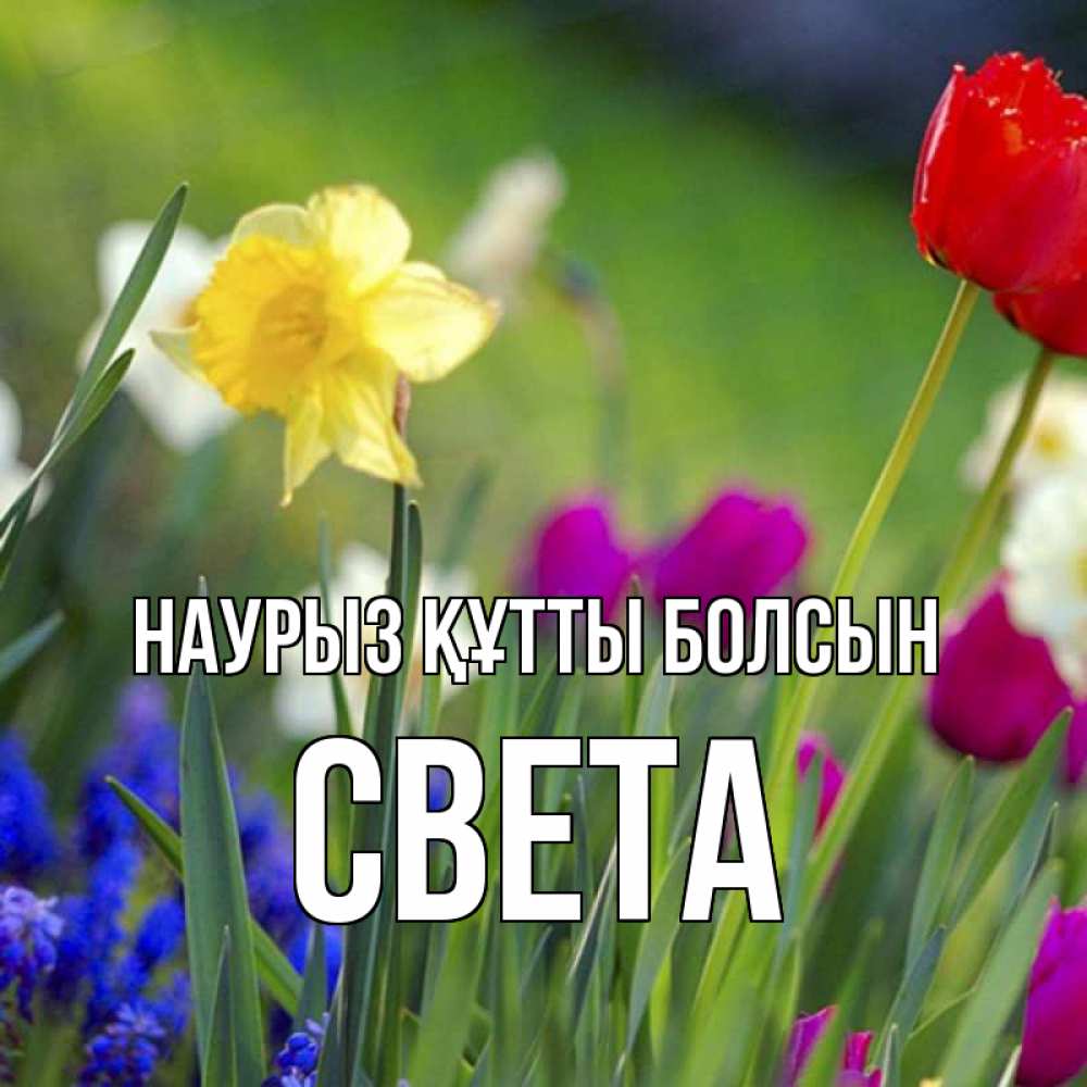 Күн сайын ашық хат с именем, Света Наурыз құтты болсын наурыз  3 открытки Онлайн тегін жүктеп алу тілектері бар керемет карта 