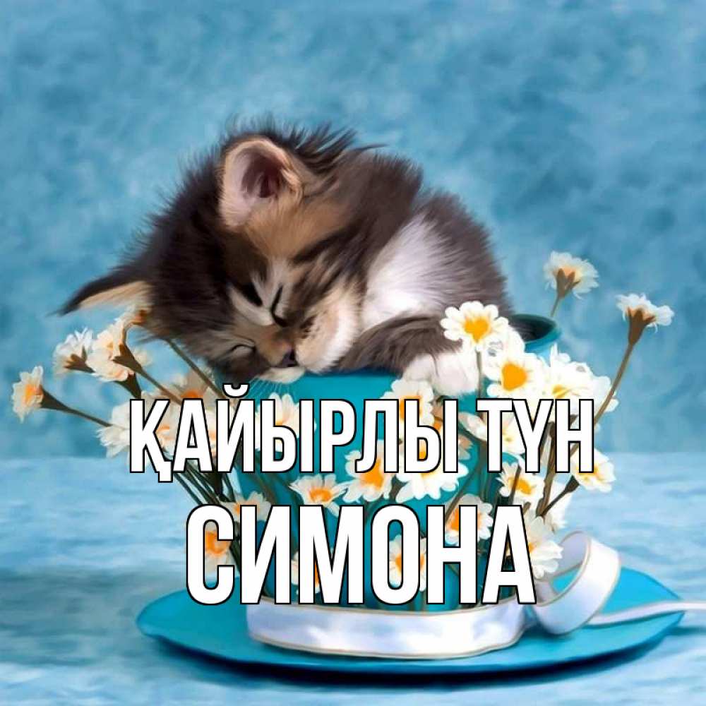 Күн сайын ашық хат с именем, Симона Қайырлы түн котенок спит в кружке с блюдцем Онлайн тегін жүктеп алу тілектері бар керемет карта 