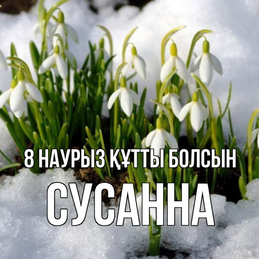 Күн сайын ашық хат с именем, Сусанна 8 наурыз құтты болсын цветы весенние Онлайн тегін жүктеп алу тілектері бар керемет карта 