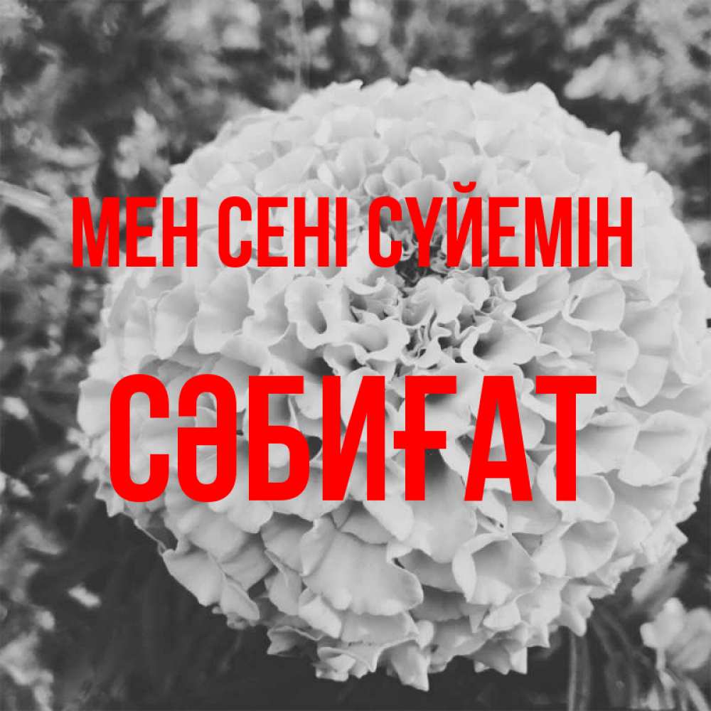 Күн сайын ашық хат с именем, СӘБИҒАТ Мен сені сүйемін подпись Онлайн тегін жүктеп алу тілектері бар керемет карта 