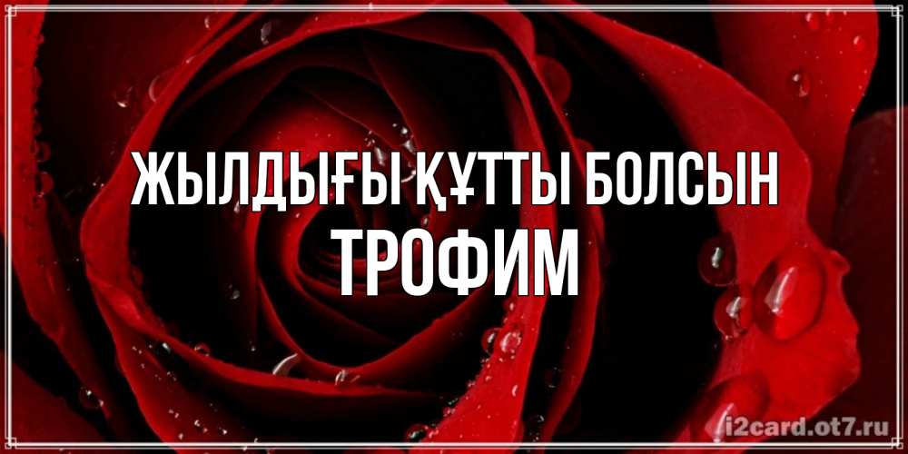 Күн сайын ашық хат с именем, Трофим Жылдығы құтты болсын крупная бордовая роза Онлайн тегін жүктеп алу тілектері бар керемет карта 