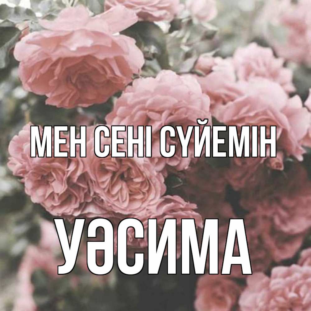 Күн сайын ашық хат с именем, УӘСИМА Мен сені сүйемін розы 3 Онлайн тегін жүктеп алу тілектері бар керемет карта 