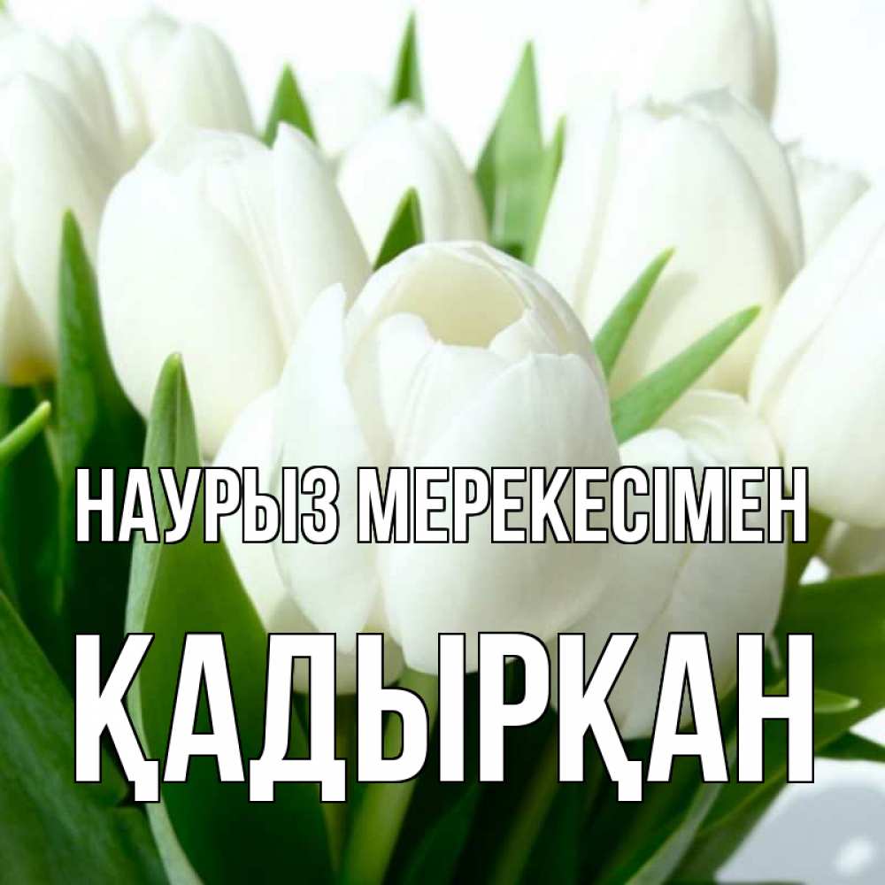 Күн сайын ашық хат с именем, Қадырқан Наурыз мерекесімен цветы Онлайн тегін жүктеп алу тілектері бар керемет карта 