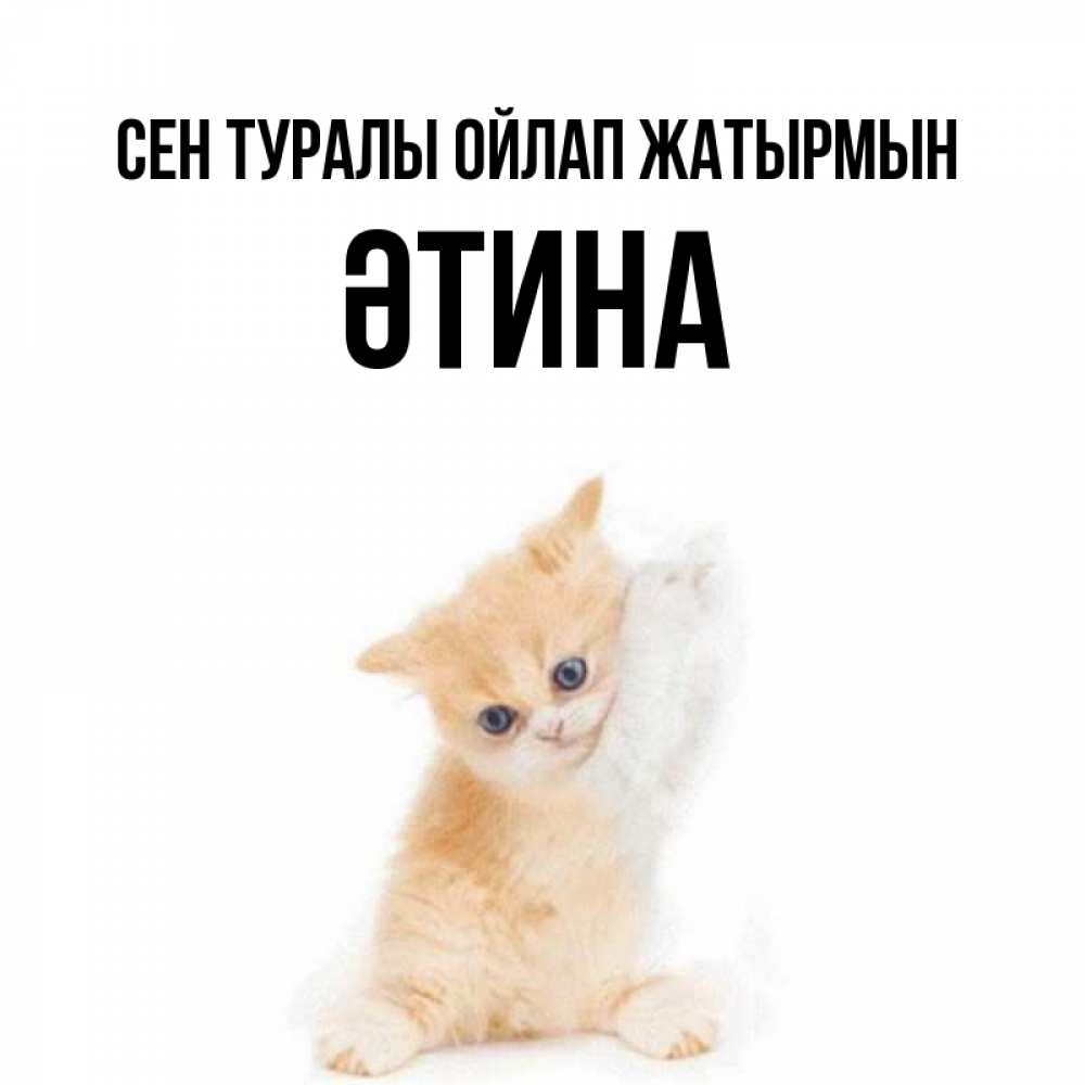 Күн сайын ашық хат с именем, ӘТИНА Сен туралы ойлап жатырмын зверушки и милота Онлайн тегін жүктеп алу тілектері бар керемет карта 