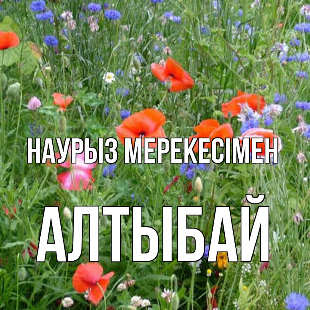 Күн сайын ашық хат с именем, Алтыбай Наурыз мерекесімен праздник весны наурыз супер открытка Онлайн тегін жүктеп алу тілектері бар керемет карта 