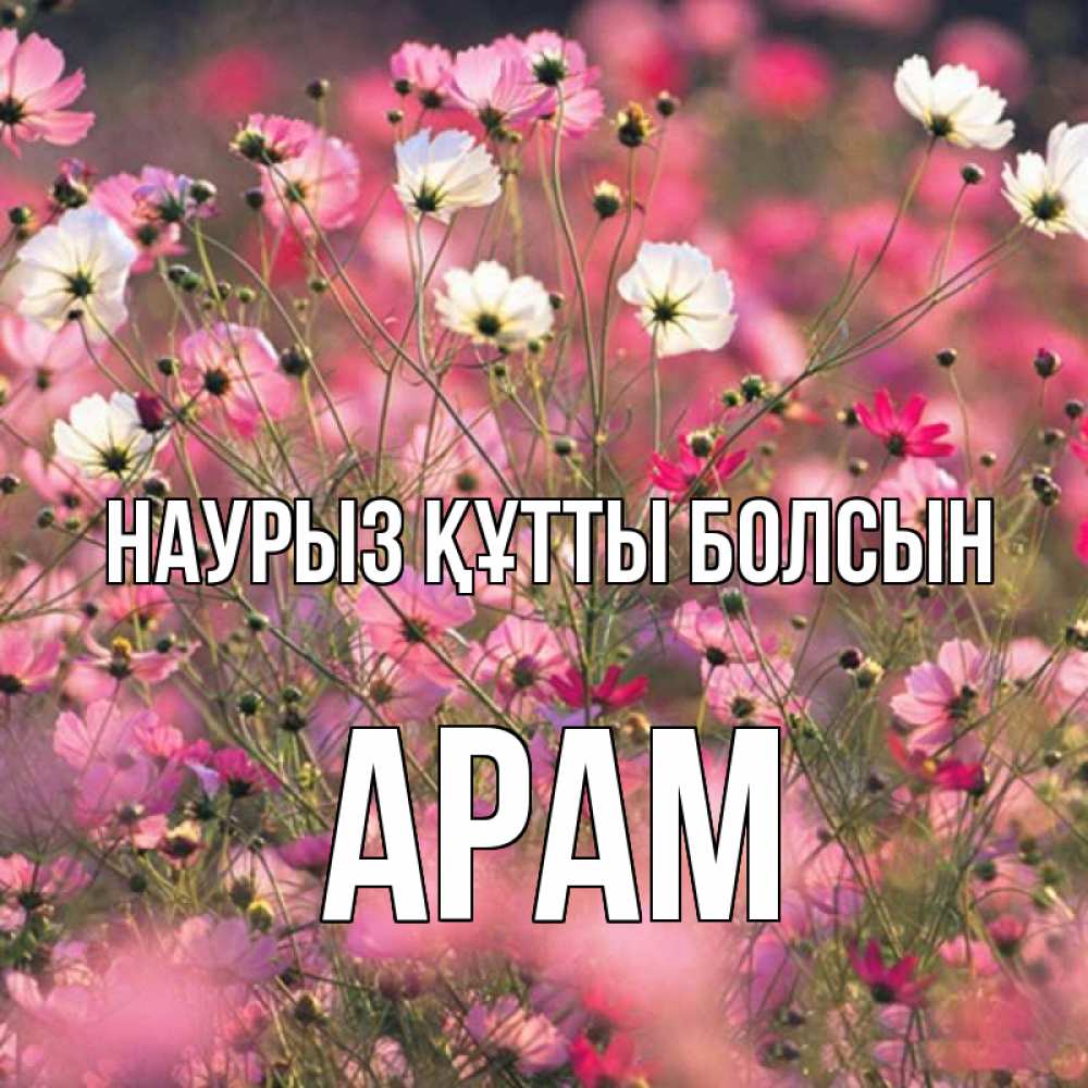 Күн сайын ашық хат с именем, Арам Наурыз құтты болсын красиво 1 Онлайн тегін жүктеп алу тілектері бар керемет карта 