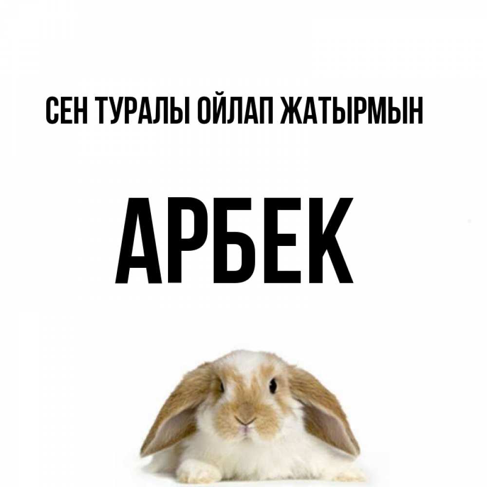 Күн сайын ашық хат с именем, Арбек Сен туралы ойлап жатырмын подписать своими руками онлайн Онлайн тегін жүктеп алу тілектері бар керемет карта 