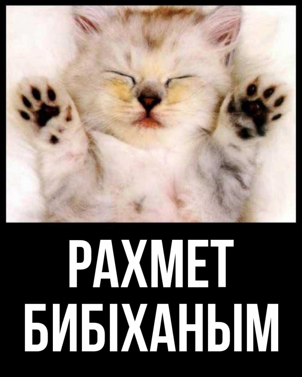 Күн сайын ашық хат с именем, БИБІХАНЫМ рахмет маленький котенок Онлайн тегін жүктеп алу тілектері бар керемет карта 