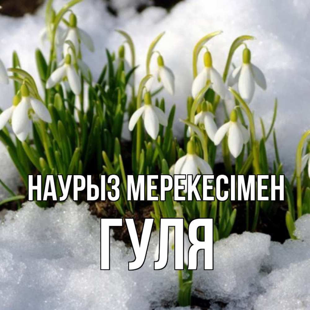 Күн сайын ашық хат с именем, Гуля Наурыз мерекесімен цветы весенние Онлайн тегін жүктеп алу тілектері бар керемет карта 