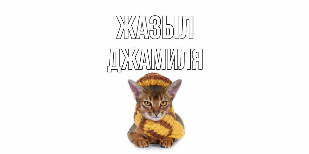 Күн сайын ашық хат с именем, Джамиля Жазыл родные не болейте Онлайн тегін жүктеп алу тілектері бар керемет карта 