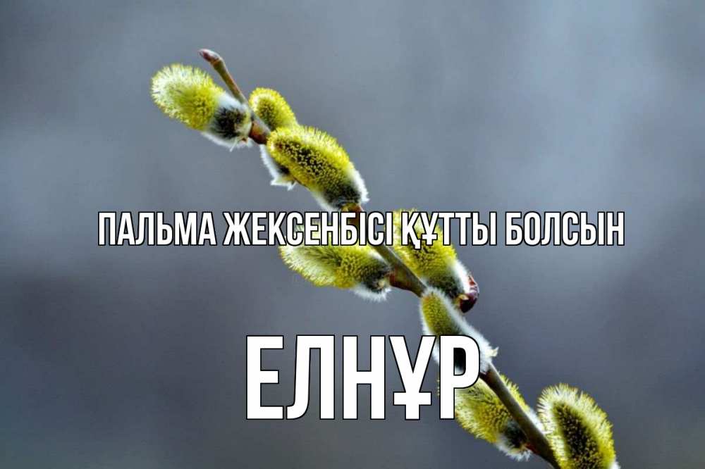 Күн сайын ашық хат с именем, Елнұр Пальма жексенбісі құтты болсын верба Онлайн тегін жүктеп алу тілектері бар керемет карта 