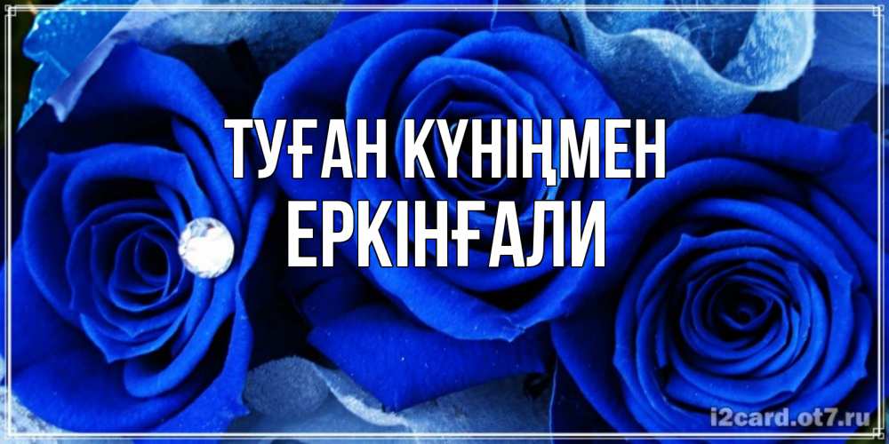 Күн сайын ашық хат с именем, Еркінғали Туған күніңмен синие розы в росе Онлайн тегін жүктеп алу тілектері бар керемет карта 