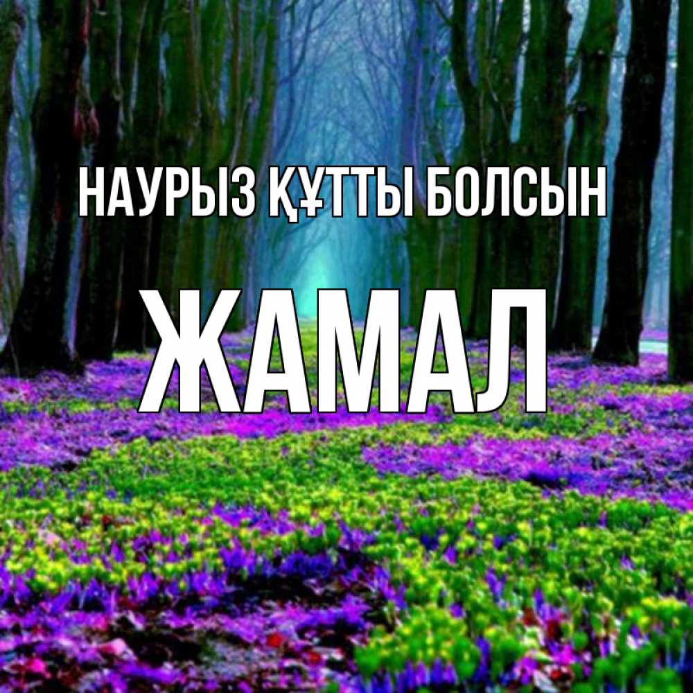 Күн сайын ашық хат с именем, ЖАМАЛ Наурыз құтты болсын фиолетовые цветы в лесу 1 Онлайн тегін жүктеп алу тілектері бар керемет карта 