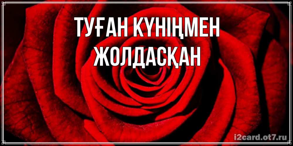 Күн сайын ашық хат с именем, Жолдасқан Туған күніңмен алая роза Онлайн тегін жүктеп алу тілектері бар керемет карта 