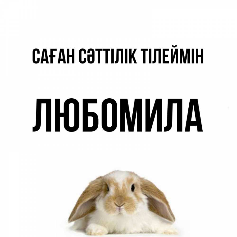 Күн сайын ашық хат с именем, Любомила Саған сәттілік тілеймін открытки с произвольным текстом который можно вставить в открытку и создать ее самостоятельно бесплатно онлайн Онлайн тегін жүктеп алу тілектері бар керемет карта 