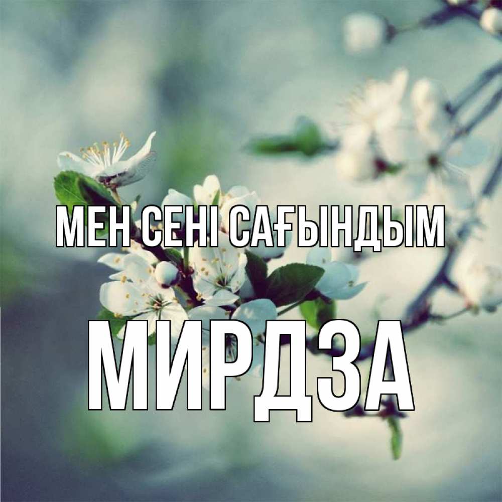 Күн сайын ашық хат с именем, Мирдза Мен сені сағындым весна Онлайн тегін жүктеп алу тілектері бар керемет карта 