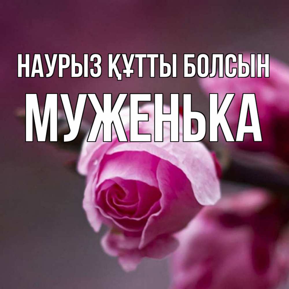 Күн сайын ашық хат с именем, Муженька Наурыз құтты болсын весна Онлайн тегін жүктеп алу тілектері бар керемет карта 
