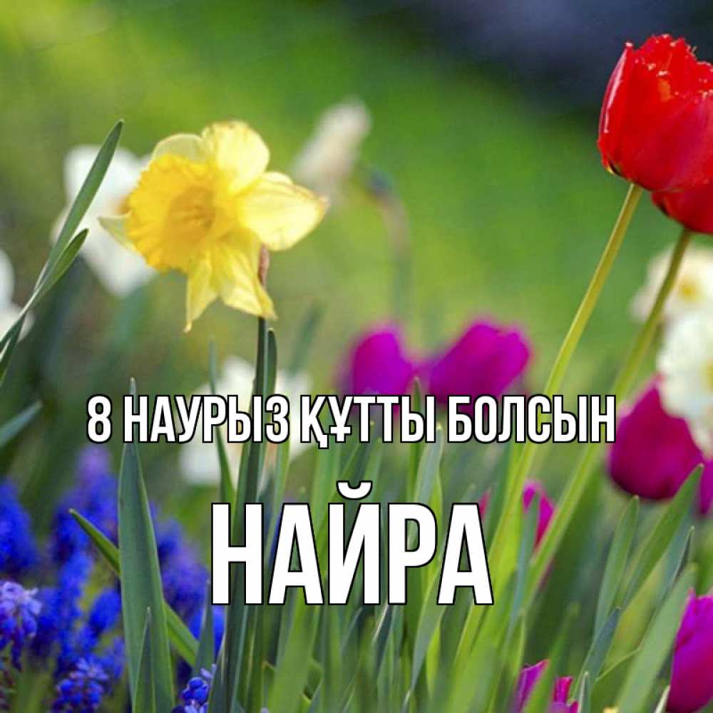 Күн сайын ашық хат с именем, НАЙРА 8 наурыз құтты болсын международный женский день 3 Онлайн тегін жүктеп алу тілектері бар керемет карта 