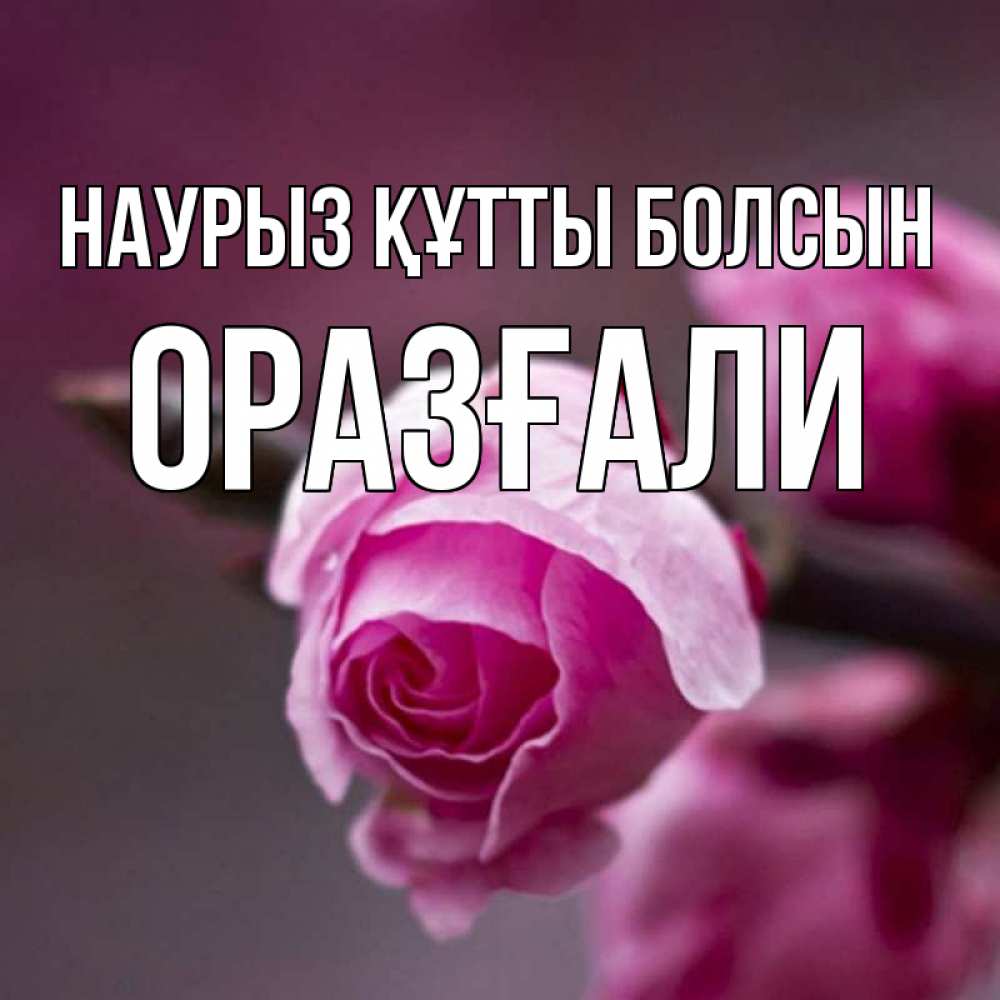 Күн сайын ашық хат с именем, ОРАЗҒАЛИ Наурыз құтты болсын весна Онлайн тегін жүктеп алу тілектері бар керемет карта 