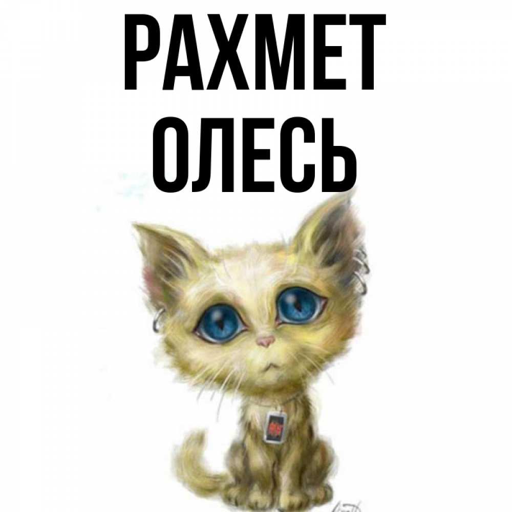 Күн сайын ашық хат с именем, Олесь рахмет рисованный кот благодарит вас Онлайн тегін жүктеп алу тілектері бар керемет карта 