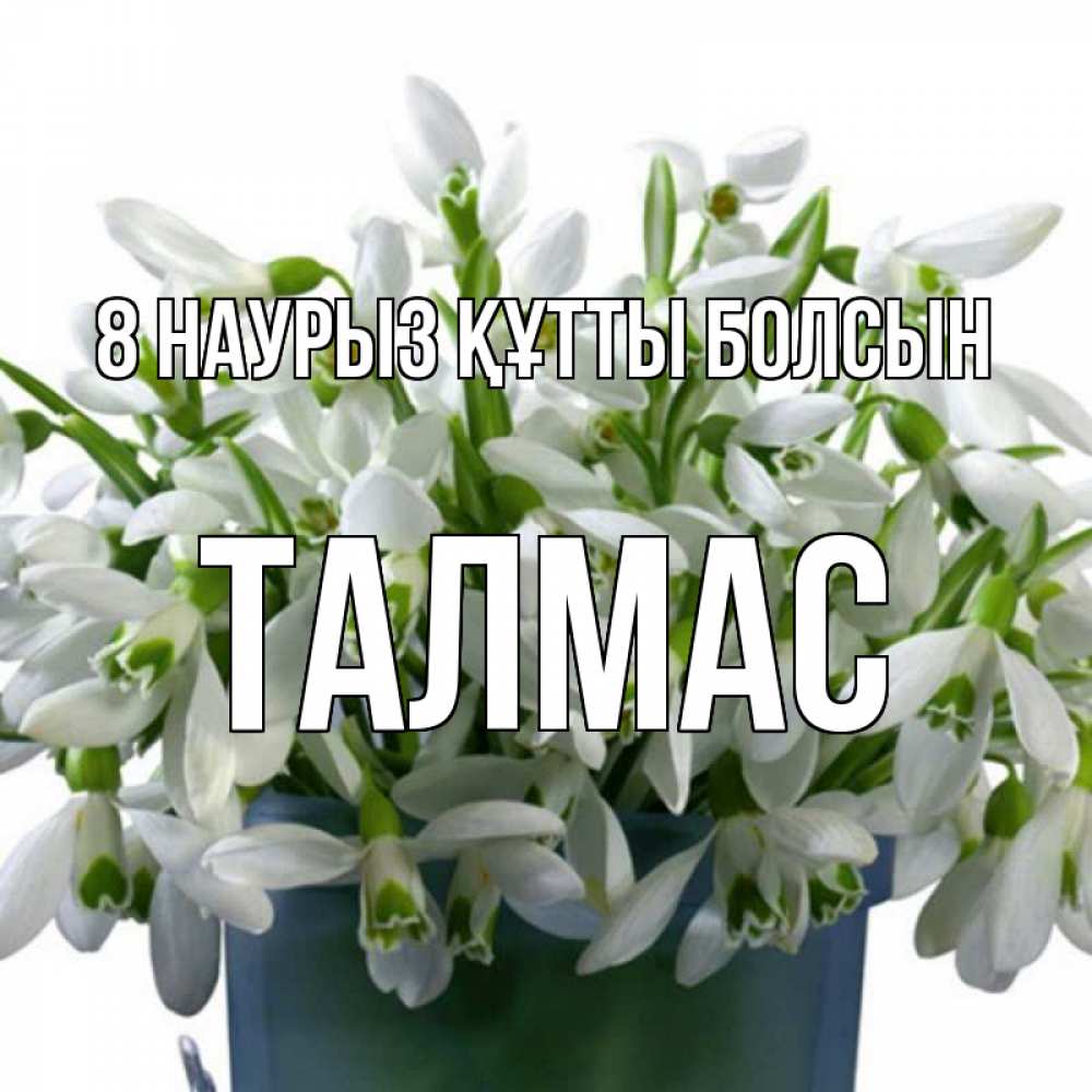 Күн сайын ашық хат с именем, ТАЛМАС 8 наурыз құтты болсын цветы к международному женскому дню Онлайн тегін жүктеп алу тілектері бар керемет карта 