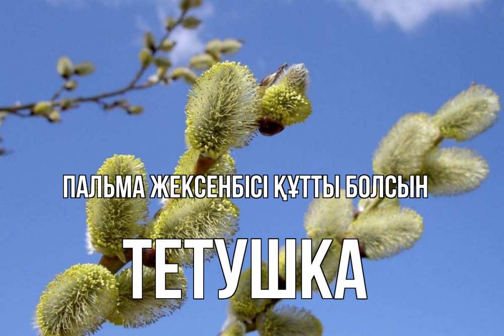 Күн сайын ашық хат с именем, Тетушка Пальма жексенбісі құтты болсын верба Онлайн тегін жүктеп алу тілектері бар керемет карта 
