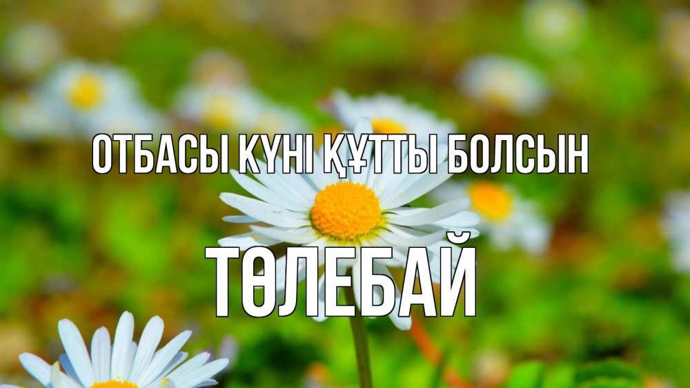 Күн сайын ашық хат с именем, ТӨЛЕБАЙ отбасы күні құтты болсын с днем семьи Онлайн тегін жүктеп алу тілектері бар керемет карта 