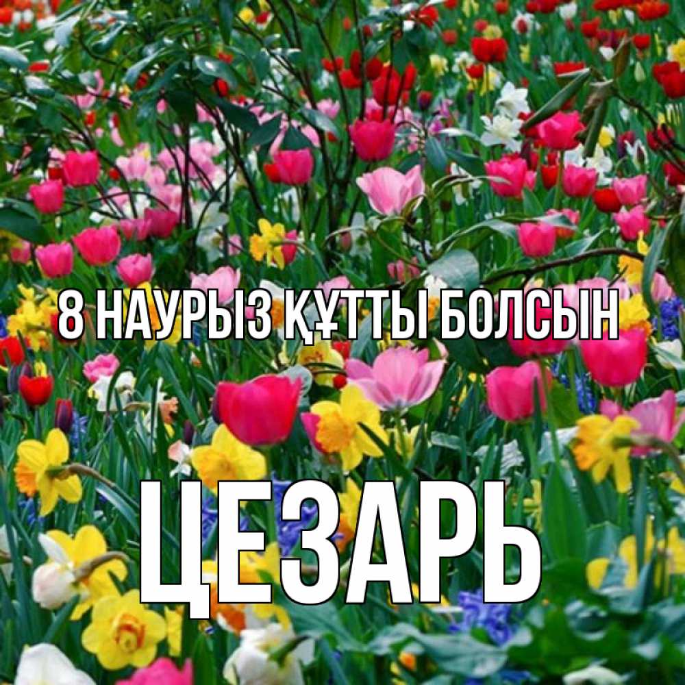 Күн сайын ашық хат с именем, Цезарь 8 наурыз құтты болсын с международным женским днем поздравления для женщины Онлайн тегін жүктеп алу тілектері бар керемет карта 