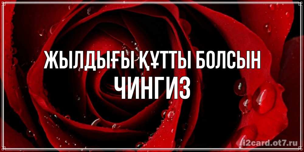 Күн сайын ашық хат с именем, Чингиз Жылдығы құтты болсын крупная бордовая роза Онлайн тегін жүктеп алу тілектері бар керемет карта 