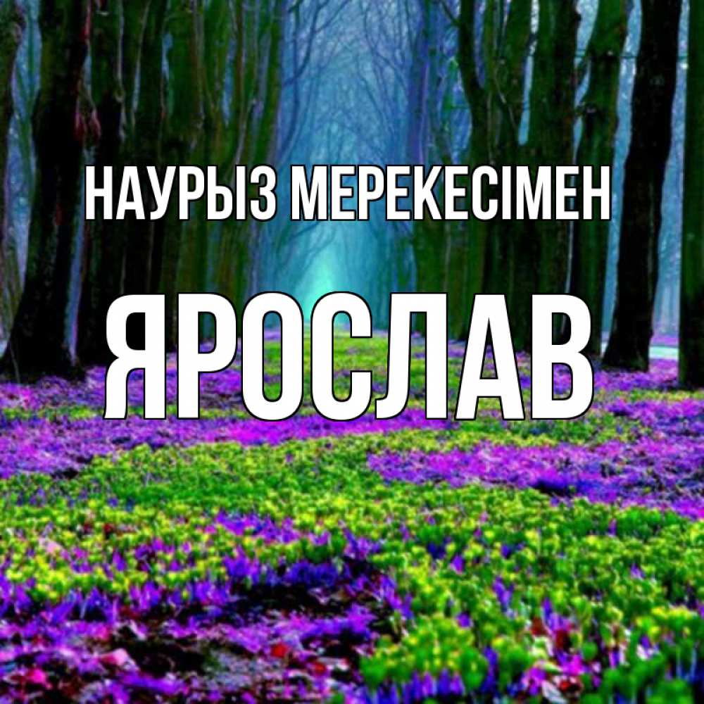 Күн сайын ашық хат с именем, Ярослав Наурыз мерекесімен фиолетовые цветы в лесу 1 Онлайн тегін жүктеп алу тілектері бар керемет карта 