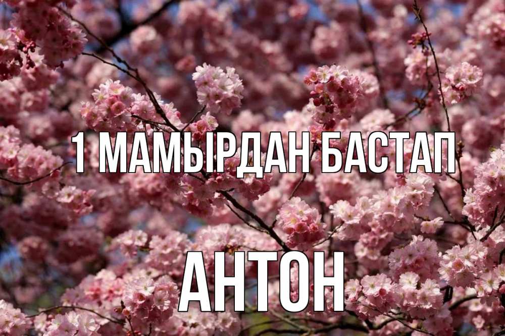 Күн сайын ашық хат с именем, Антон 1 мамырдан бастап С 1 мая Онлайн тегін жүктеп алу тілектері бар керемет карта 