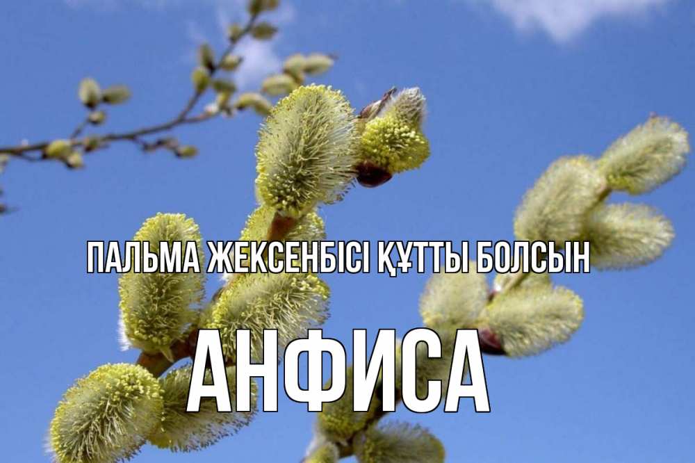 Күн сайын ашық хат с именем, Анфиса Пальма жексенбісі құтты болсын верба Онлайн тегін жүктеп алу тілектері бар керемет карта 