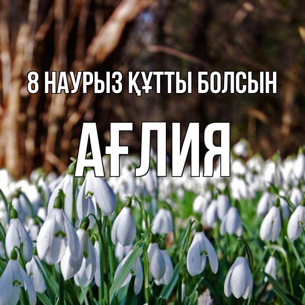 Күн сайын ашық хат с именем, АҒЛИЯ 8 наурыз құтты болсын с подснежниками 1 Онлайн тегін жүктеп алу тілектері бар керемет карта 