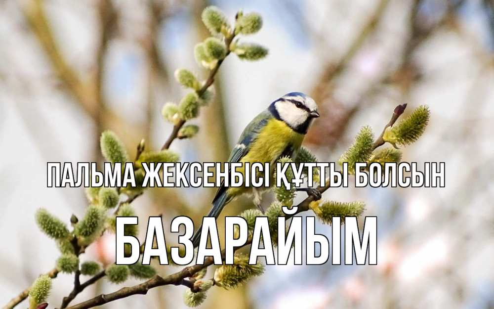 Күн сайын ашық хат с именем, БАЗАРАЙЫМ Пальма жексенбісі құтты болсын верба Онлайн тегін жүктеп алу тілектері бар керемет карта 