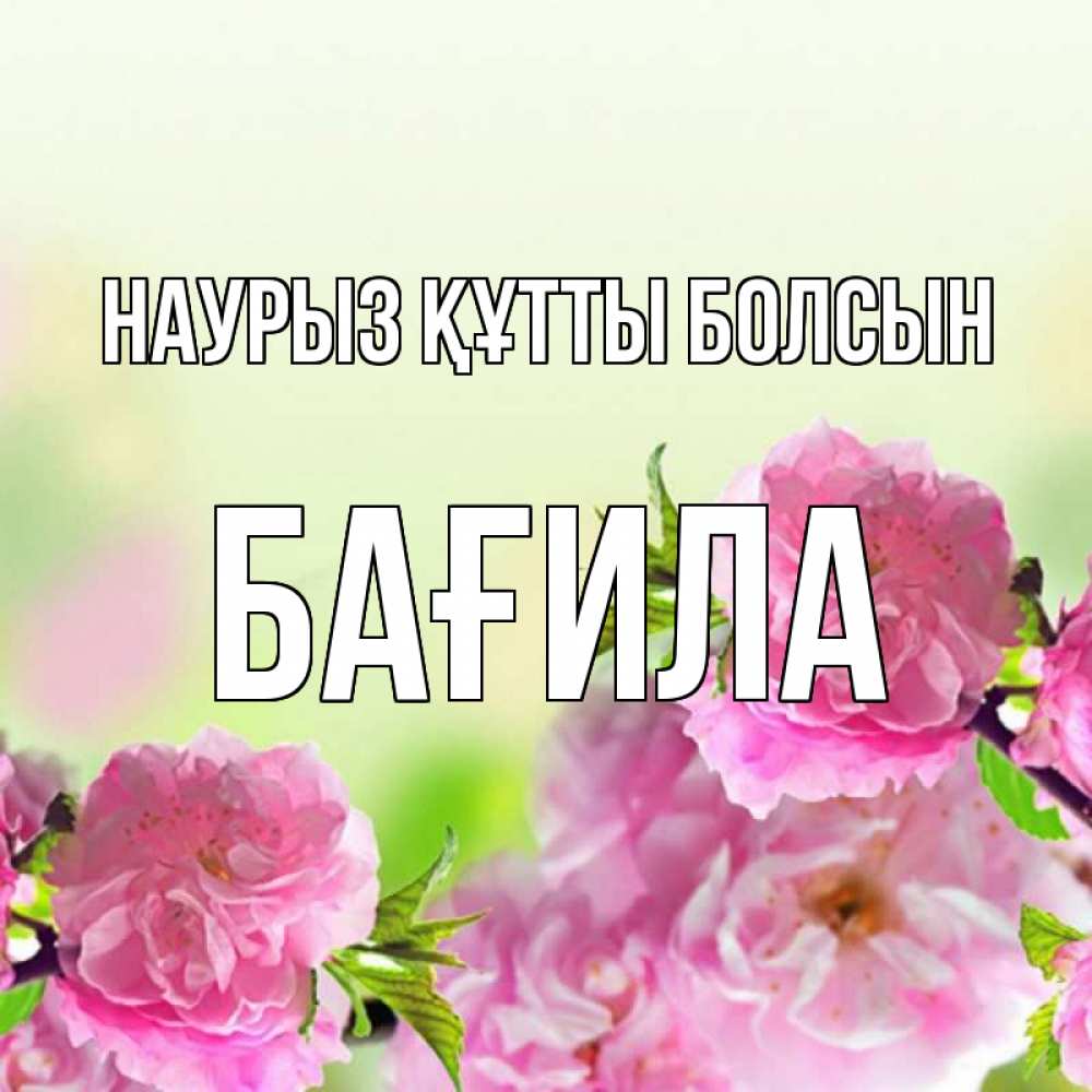 Күн сайын ашық хат с именем, БАҒИЛА Наурыз құтты болсын цветы Онлайн тегін жүктеп алу тілектері бар керемет карта 