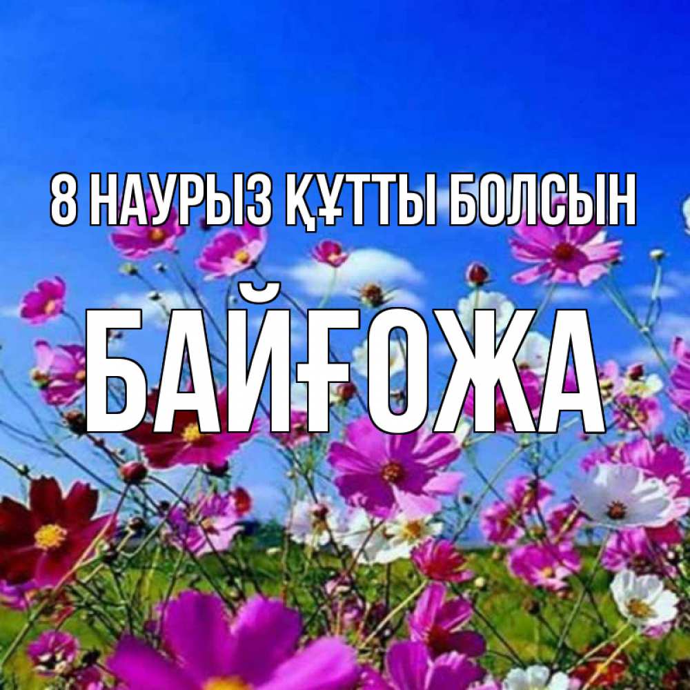 Күн сайын ашық хат с именем, Байғожа 8 наурыз құтты болсын цветы Онлайн тегін жүктеп алу тілектері бар керемет карта 