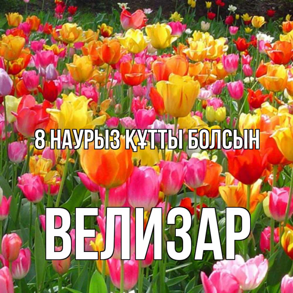 Күн сайын ашық хат с именем, Велизар 8 наурыз құтты болсын на международный женский день Онлайн тегін жүктеп алу тілектері бар керемет карта 