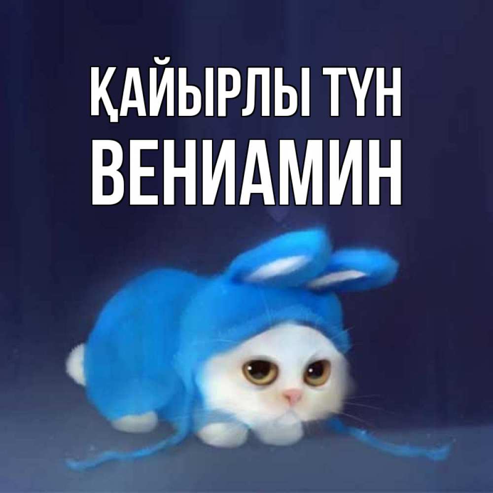 Күн сайын ашық хат с именем, Вениамин Қайырлы түн кот в голубом костюме кролика с ушками Онлайн тегін жүктеп алу тілектері бар керемет карта 