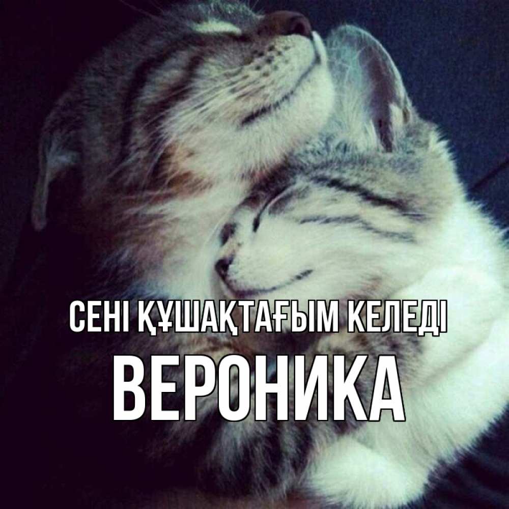 Күн сайын ашық хат с именем, Вероника сені құшақтағым келеді полосатики Онлайн тегін жүктеп алу тілектері бар керемет карта 