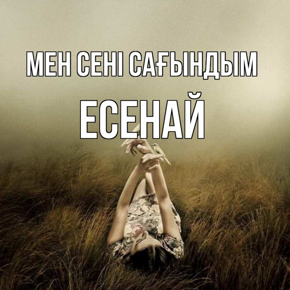 Күн сайын ашық хат с именем, Есенай Мен сені сағындым девушка с голубями Онлайн тегін жүктеп алу тілектері бар керемет карта 