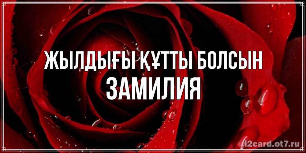 Күн сайын ашық хат с именем, ЗАМИЛИЯ Жылдығы құтты болсын крупная бордовая роза Онлайн тегін жүктеп алу тілектері бар керемет карта 