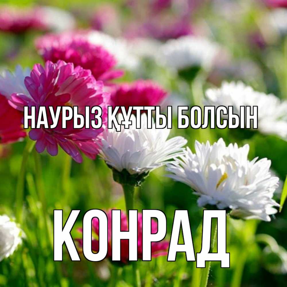 Күн сайын ашық хат с именем, Конрад Наурыз құтты болсын наурыз Онлайн тегін жүктеп алу тілектері бар керемет карта 