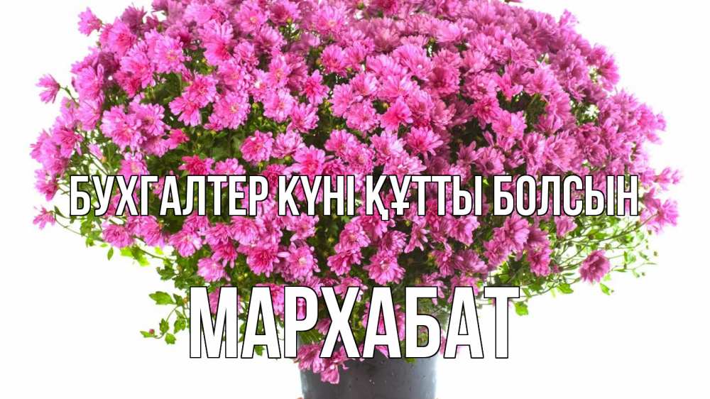 Күн сайын ашық хат с именем, МАРХАБАТ бухгалтер күні құтты болсын с днем бухгалтера Онлайн тегін жүктеп алу тілектері бар керемет карта 