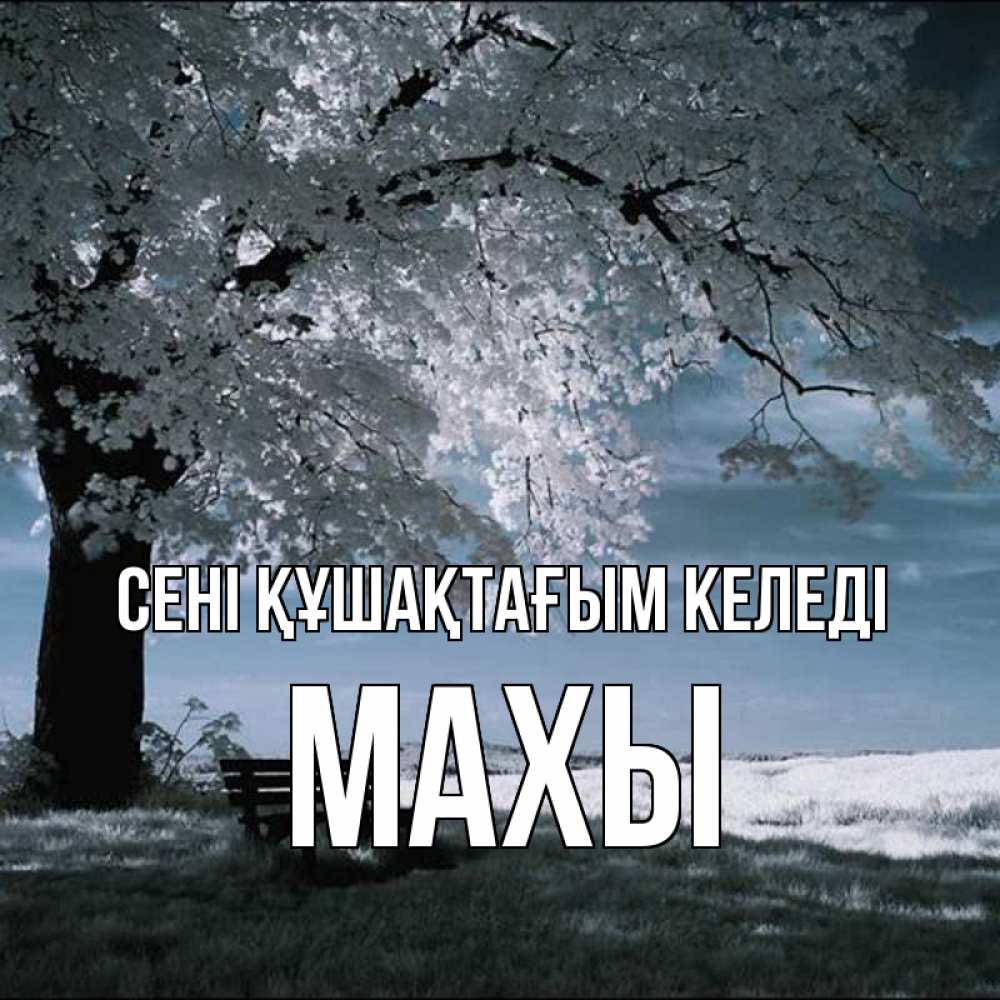 Күн сайын ашық хат с именем, МАХЫ сені құшақтағым келеді дерево Онлайн тегін жүктеп алу тілектері бар керемет карта 