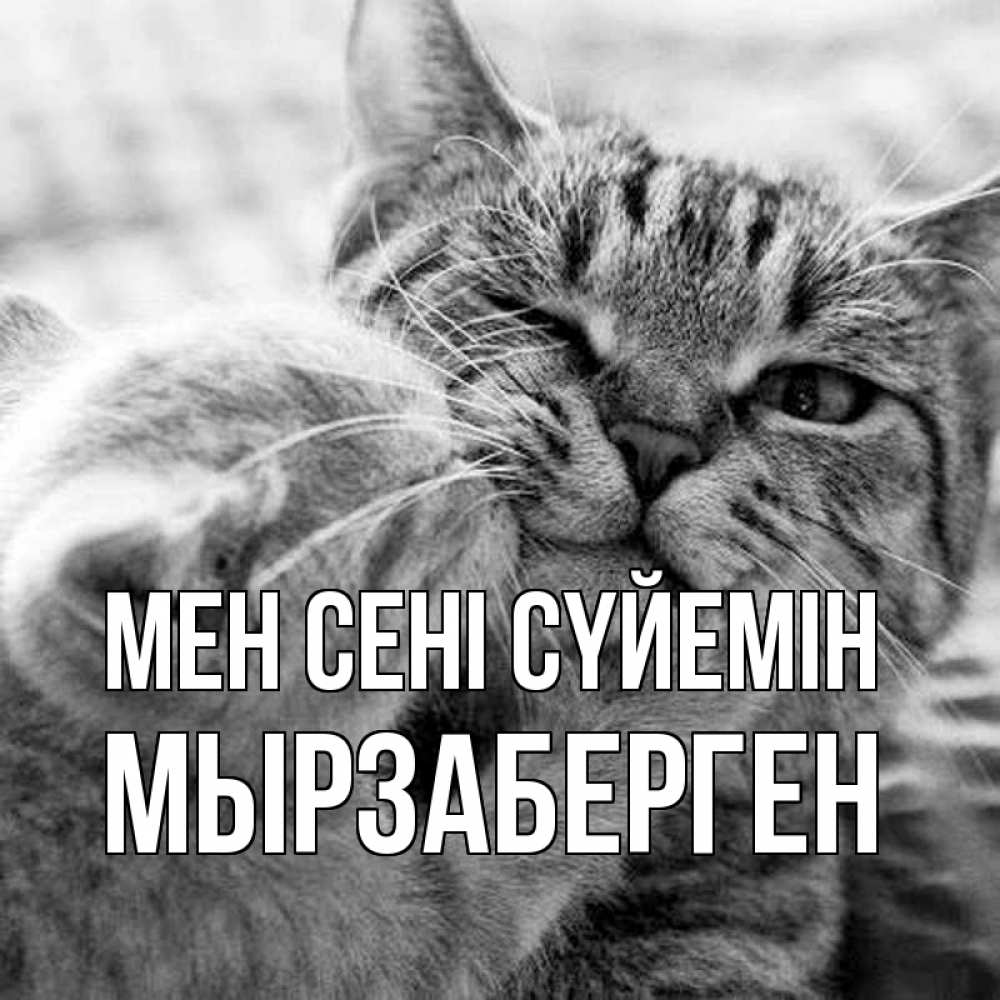 Күн сайын ашық хат с именем, Мырзаберген Мен сені сүйемін коты Онлайн тегін жүктеп алу тілектері бар керемет карта 