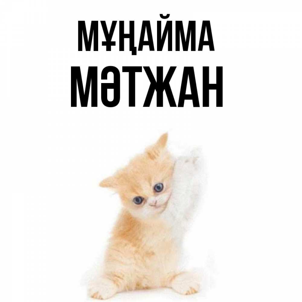 Күн сайын ашық хат с именем, МӘТЖАН Мұңайма просящий кот Онлайн тегін жүктеп алу тілектері бар керемет карта 