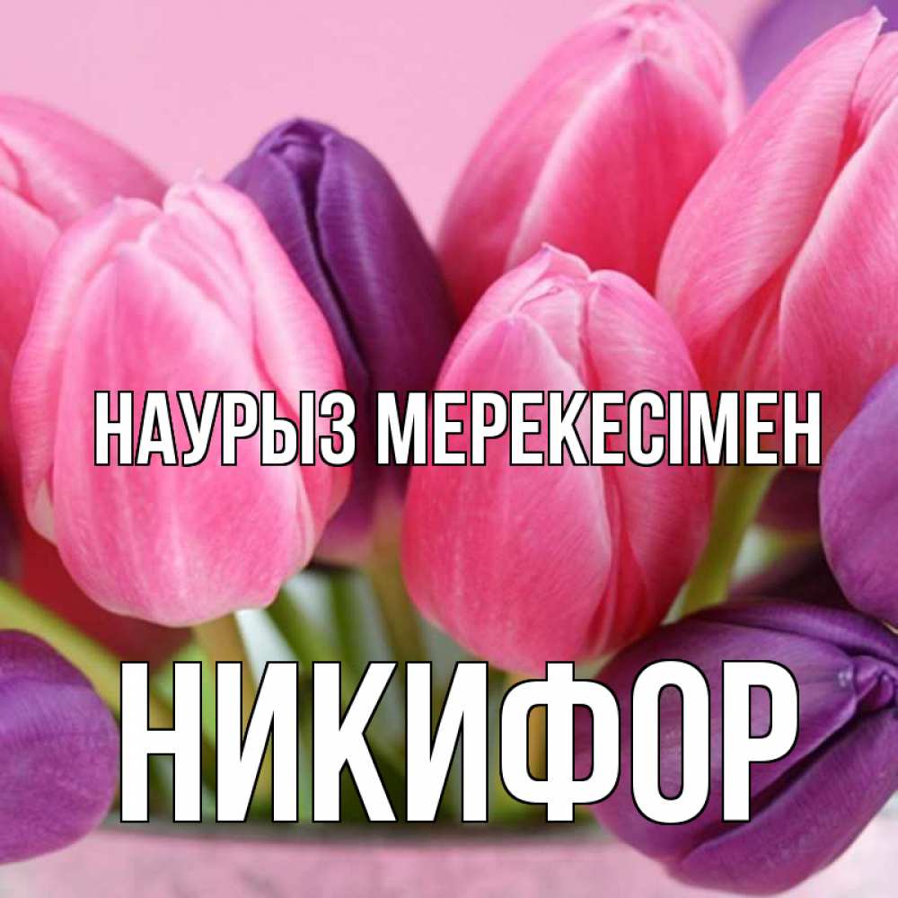 Күн сайын ашық хат с именем, Никифор Наурыз мерекесімен маме 1 Онлайн тегін жүктеп алу тілектері бар керемет карта 